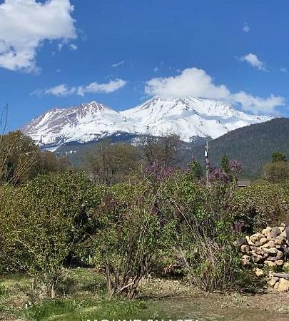 Angel Cottage With A Sauna Or The Cozy With A Jacuzzi Tub, Both Are Studios With A View Of Mount Shasta Extérieur photo