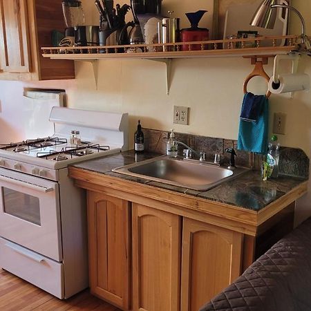 Angel Cottage With A Sauna Or The Cozy With A Jacuzzi Tub, Both Are Studios With A View Of Mount Shasta Extérieur photo