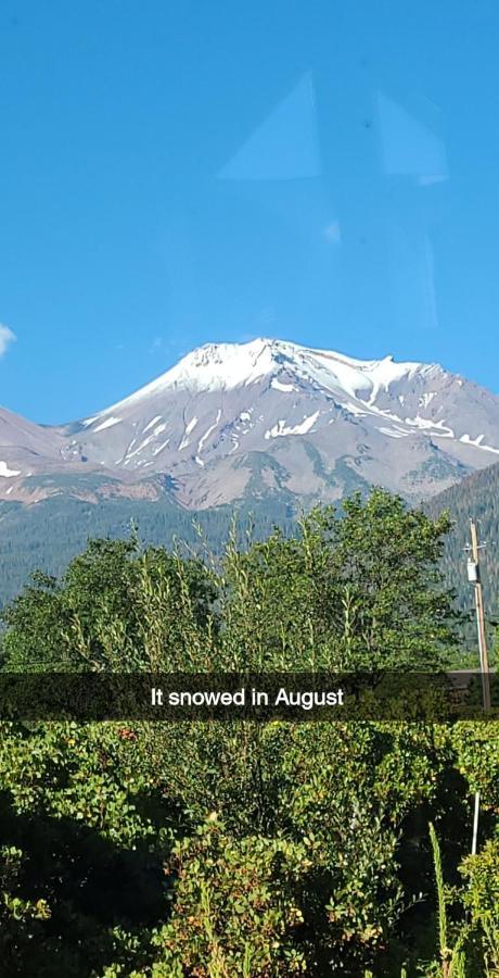 Angel Cottage With A Sauna Or The Cozy With A Jacuzzi Tub, Both Are Studios With A View Of Mount Shasta Extérieur photo