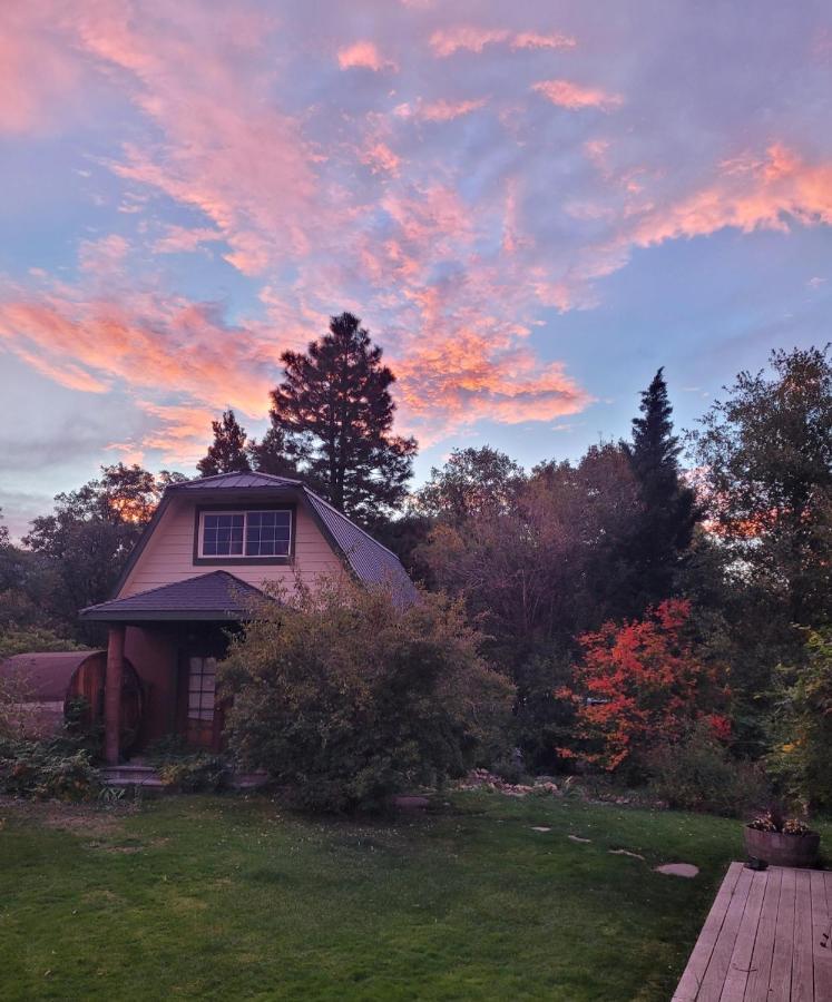 Angel Cottage With A Sauna Or The Cozy With A Jacuzzi Tub, Both Are Studios With A View Of Mount Shasta Extérieur photo