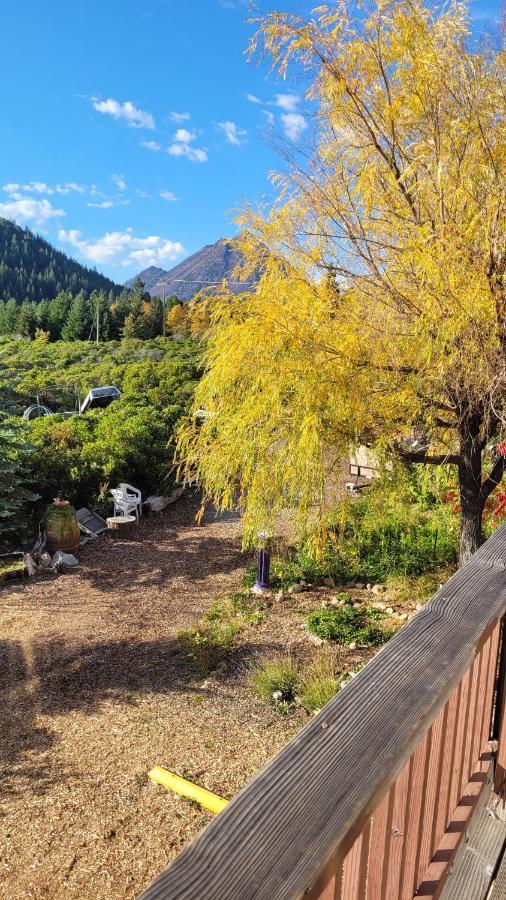 Angel Cottage With A Sauna Or The Cozy With A Jacuzzi Tub, Both Are Studios With A View Of Mount Shasta Extérieur photo